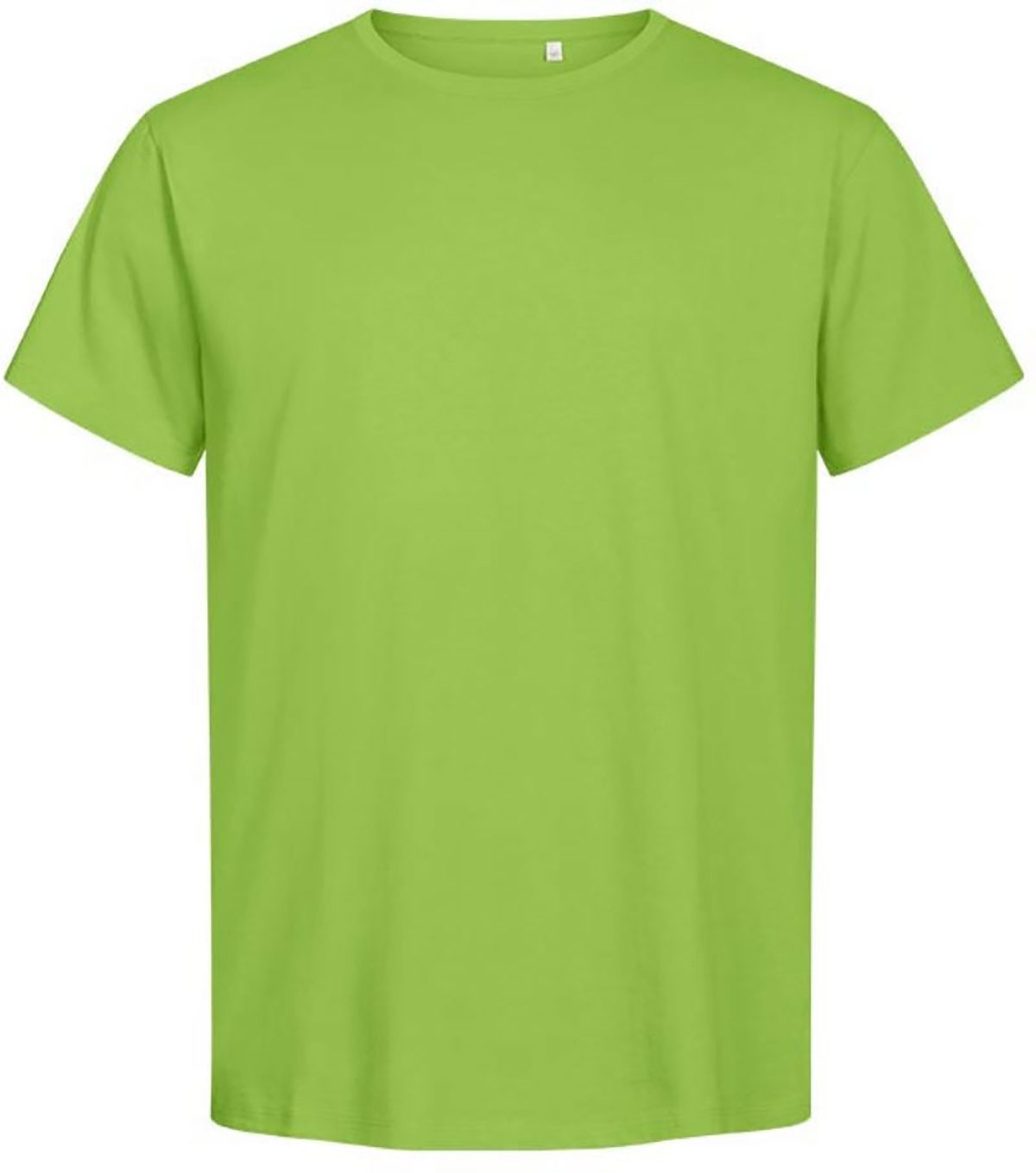 309X-limegreen lime green