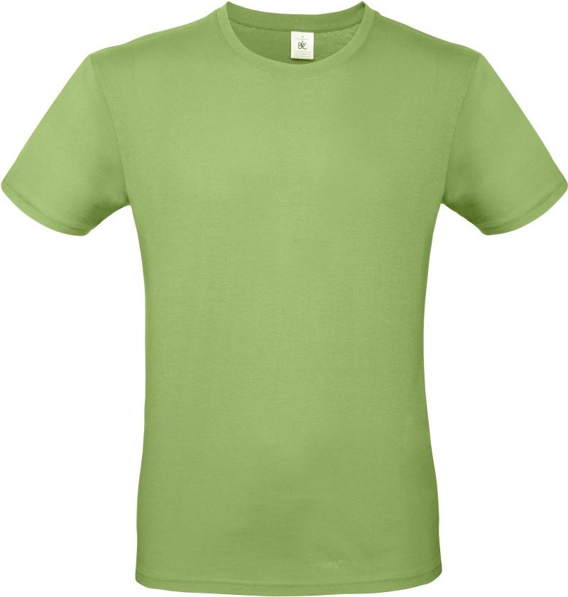 01-001T-pistachio pistachio