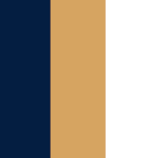 navyblue/ gold/ white