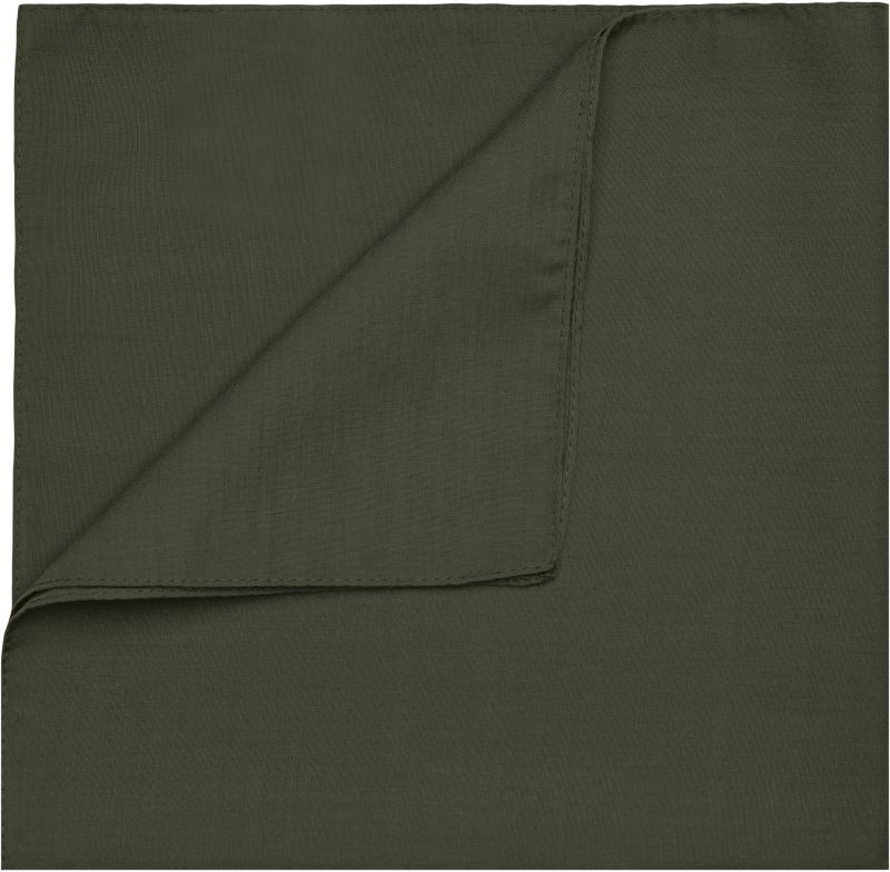 MB040-olive1