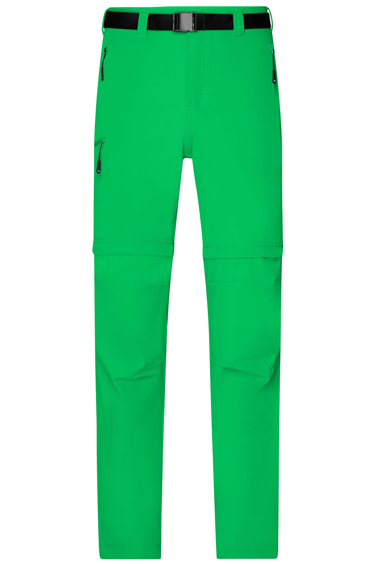 JN1202-ferngreen1 fern green