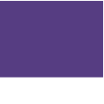 purple / white