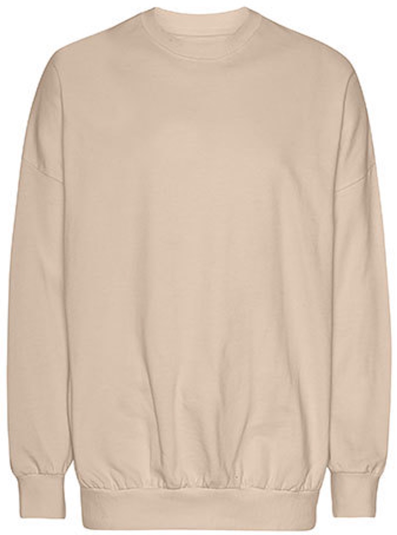 Oversized Sweatshirt Neural NET63011