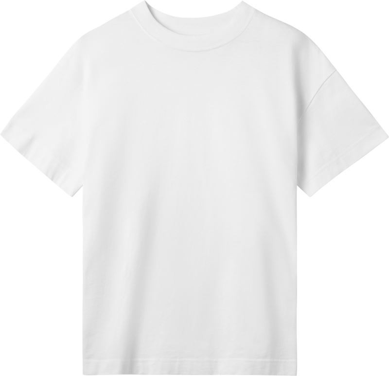 Womens Oversized Tee True Blanks 8750