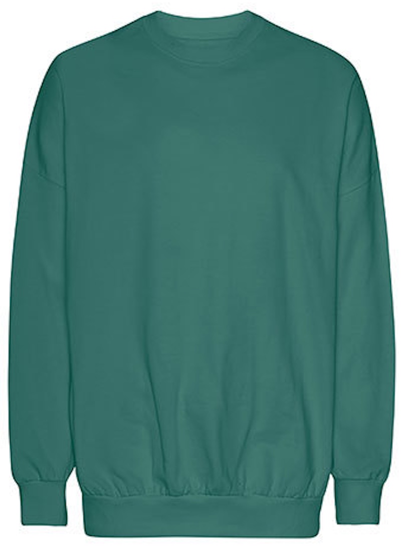 Oversized Sweatshirt Neural NET63011