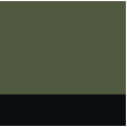 olive green / black