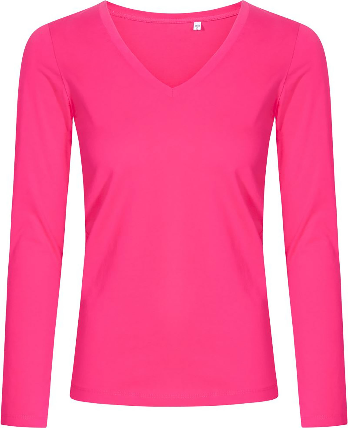 1560-briggh1 bright rose