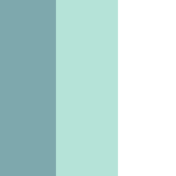 petrol/ mint/ white