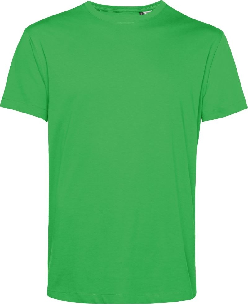 E150-applegreen apple green