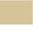 khaki / white