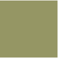 light olive