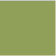 pistachio