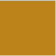 dark mustard