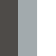 anthracite/ lightgrey/ white